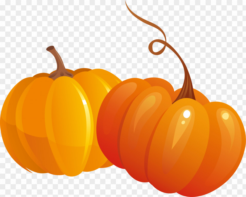 Yellow Cartoon Pumpkin Jack-o'-lantern Calabaza Vegetarian Cuisine Gourd PNG