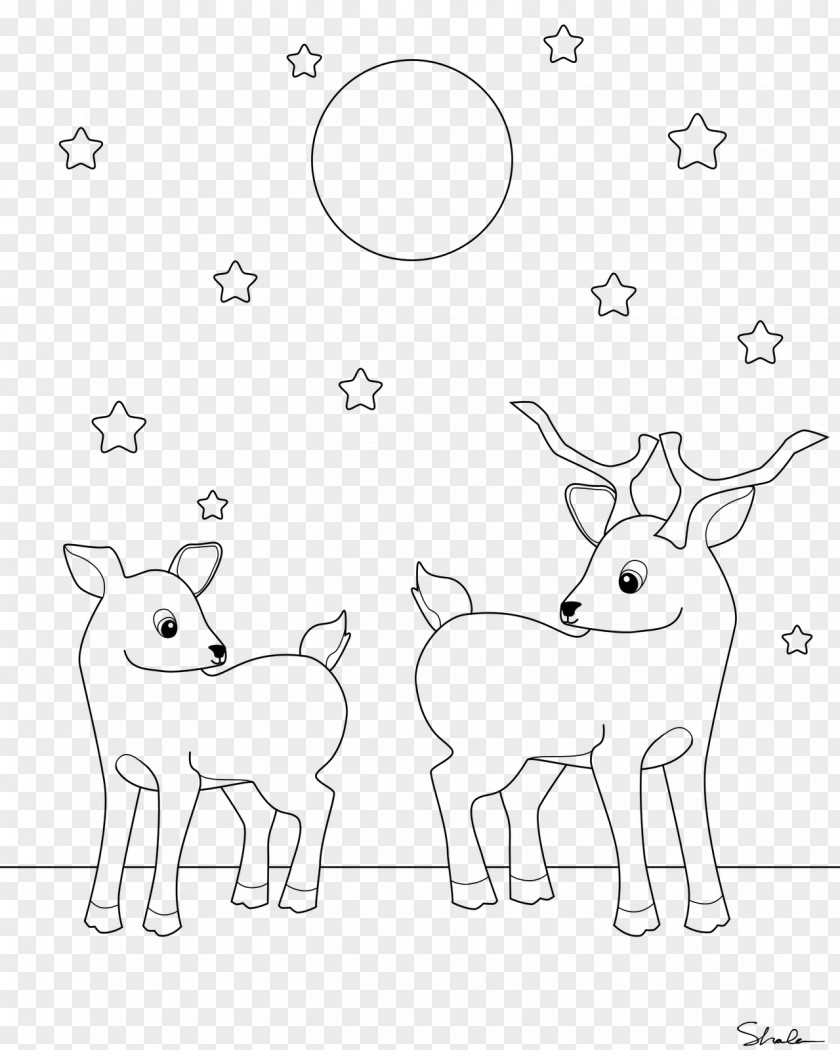 Deer White-tailed Coloring Book Mule Hunting PNG