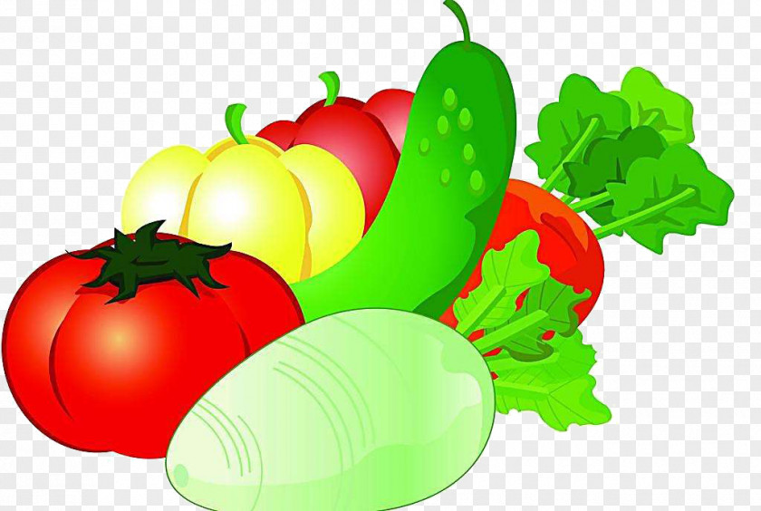 Fruit And Vegetable Auglis Cartoon PNG