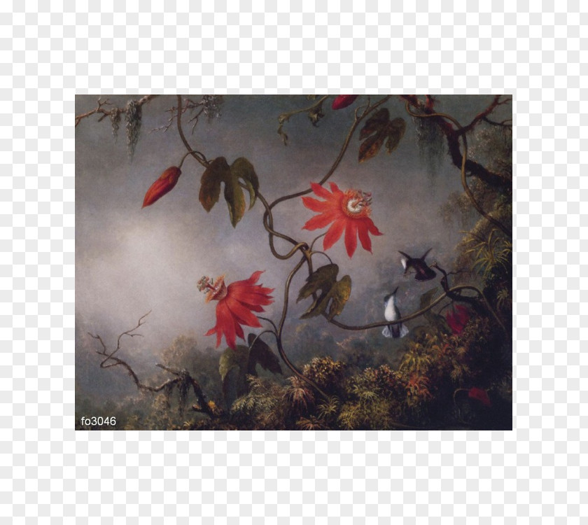 Painting Passion Flowers And Hummingbirds Hummingbird Passionflowers With Three PNG