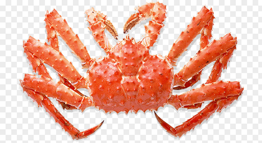 Red King Crab Buffet Seafood PNG king crab Seafood, clipart PNG