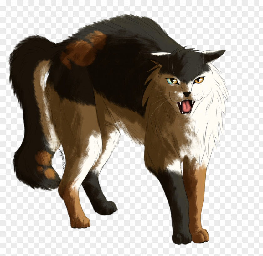 Amine Group Dog Breed Raffle Tallstar WindClan Art PNG