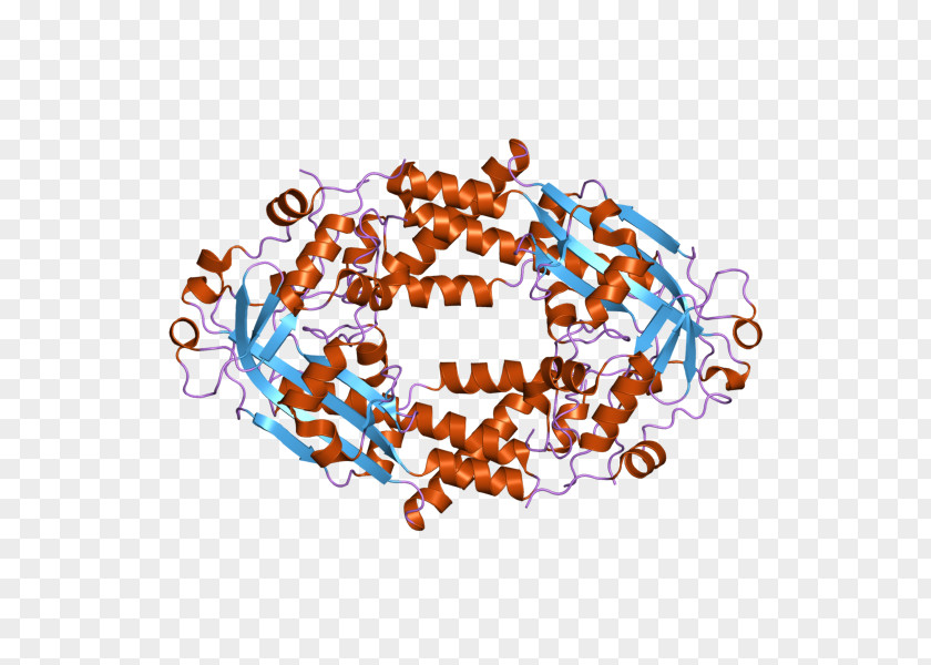 Methionine Synthase Cystathionine Beta Homocysteine PNG