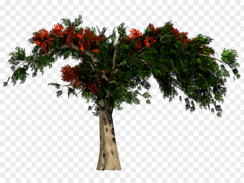Orange Tree Rendering Texture Mapping Clip Art PNG