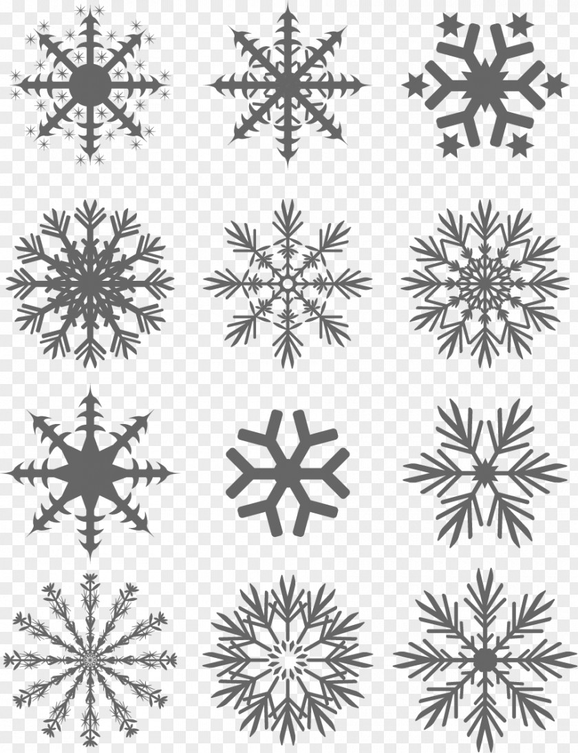 Snowflake Collection Creative Vector Image Flower Drawing Royalty-free PNG