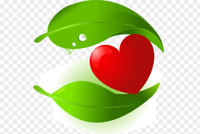 Vector,Hand-painted Cartoon,green,Hearts Natural Environment Musculoskeletal Physiotherapy Australia Nature Lily Of The Valley PNG