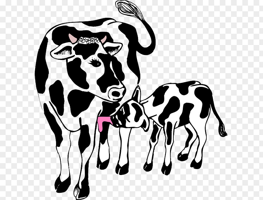 Angus Cattle Cow-calf Operation Hereford Clip Art PNG