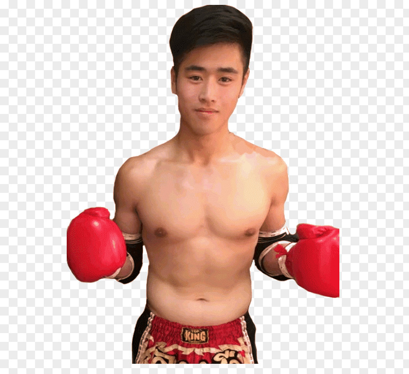 Boxing Glove Light Welterweight Professional Lightweight PNG