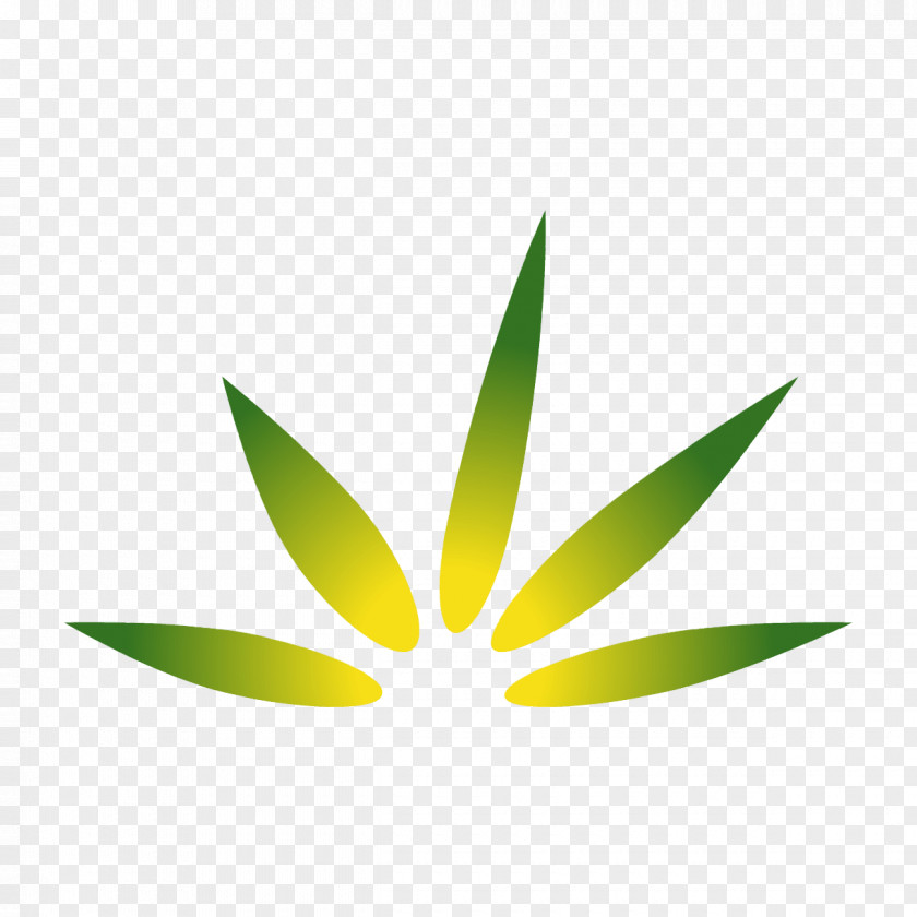 Cannabis Medical Smoking Industry Sativa PNG