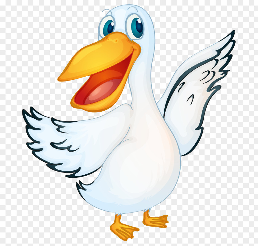 Ducks Pelican Vector Graphics Royalty-free Stock Illustration Photography PNG