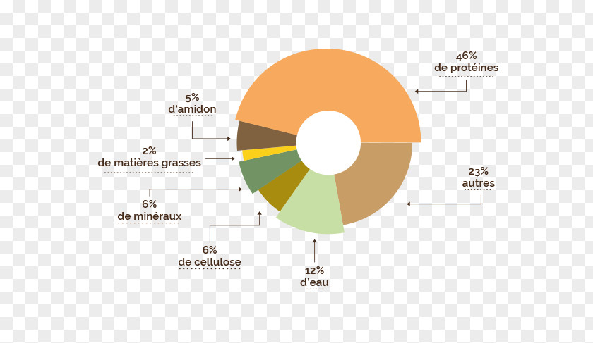 Graine De Soja Press Cake Soybean Meal Seed Food PNG