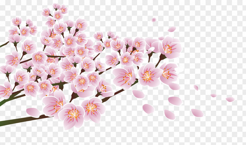 Pink Hand-painted Peach Branches Decorative Patterns Download Flower Floral Design Blossom PNG