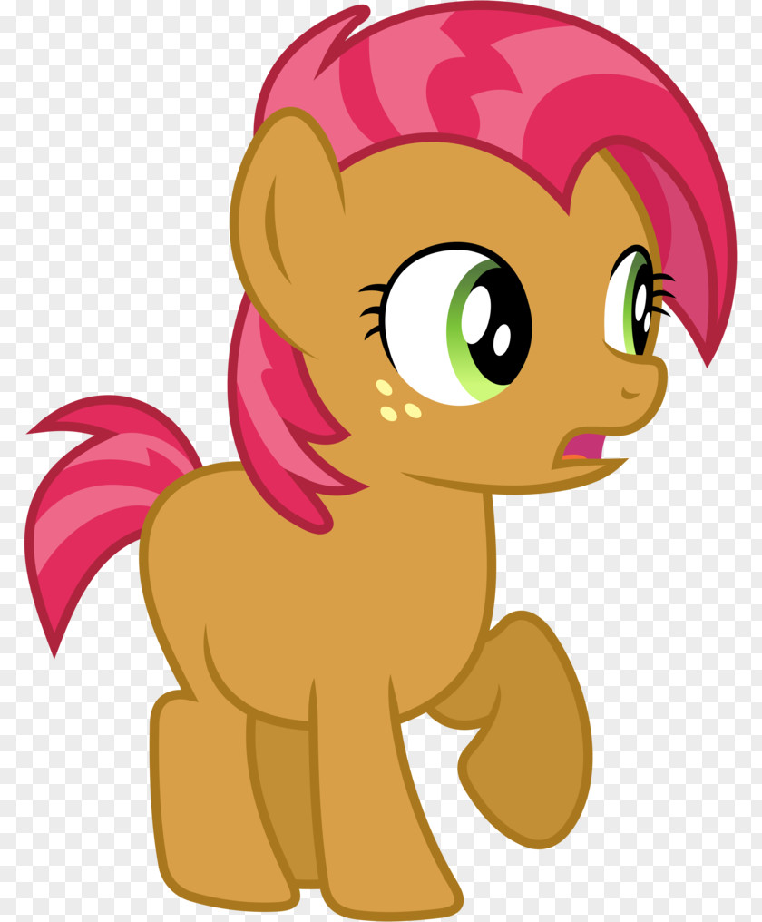 Pony Applejack Pinkie Pie Rainbow Dash Babs Seed PNG