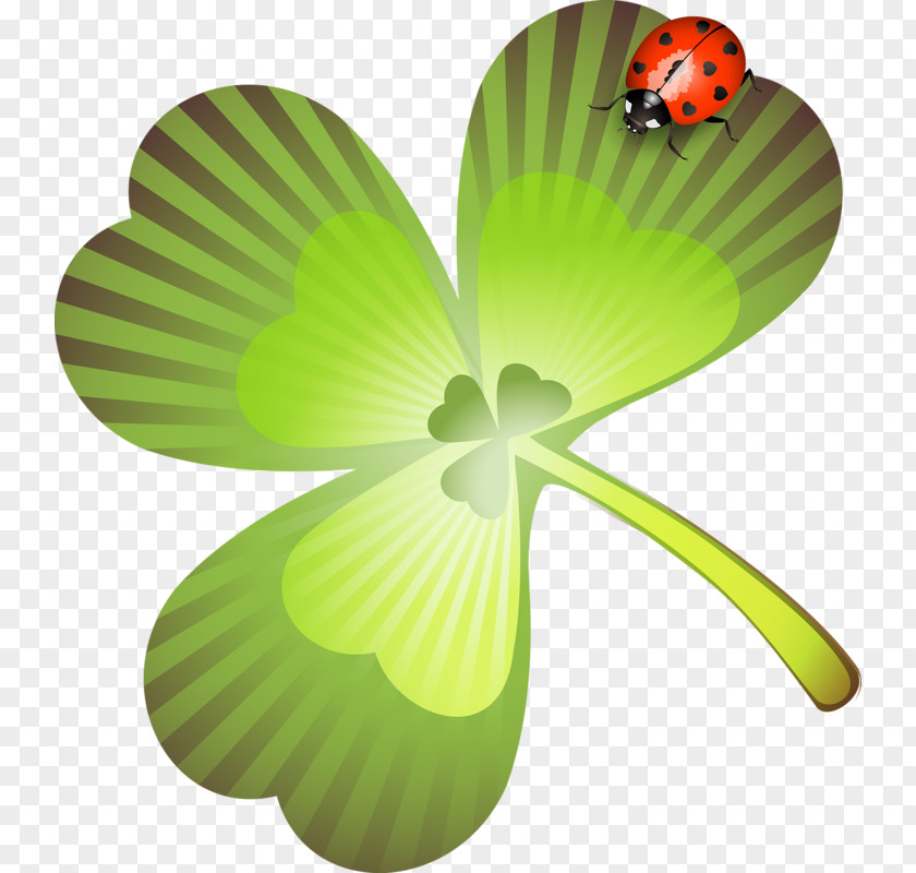 Saint Patrick's Day Holiday Collage Clip Art PNG