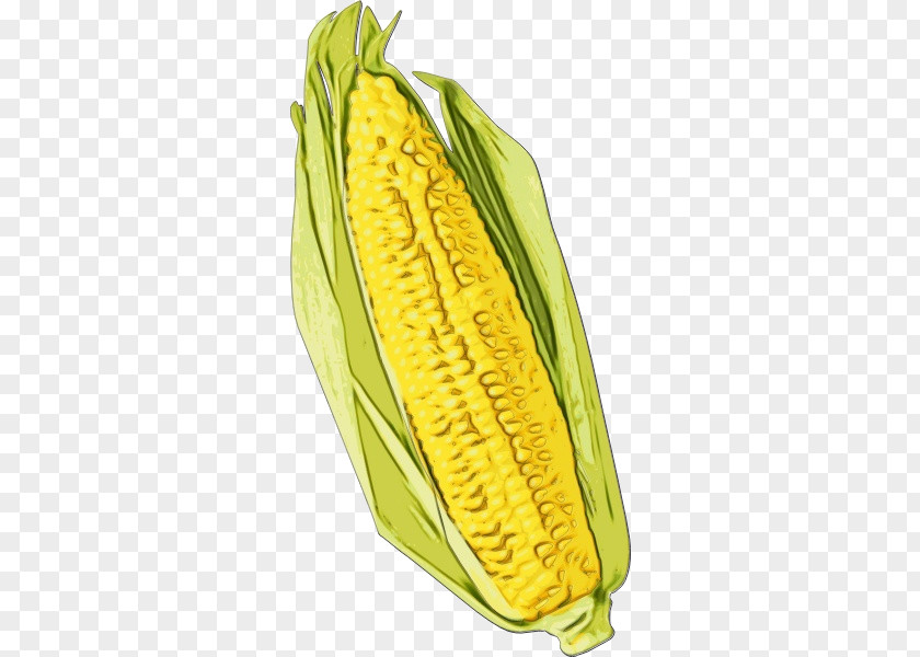 Corn On The Cob Sweet Commodity Banana Maize PNG