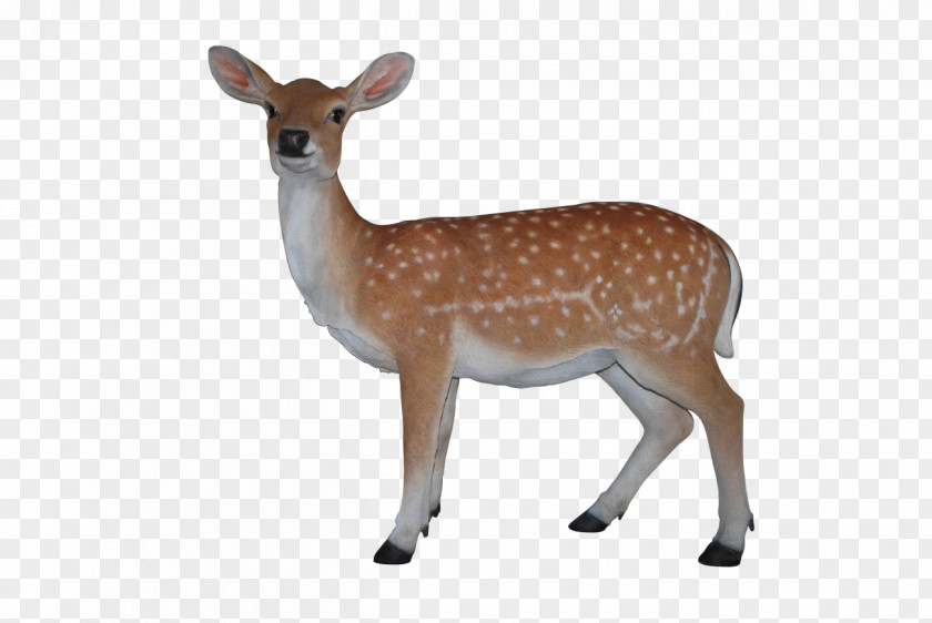 Deer White-tailed Barasingha Reindeer Clip Art PNG