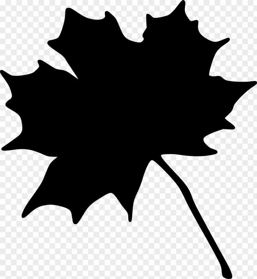 Maple Leaf Vector Graphics Autumn PNG
