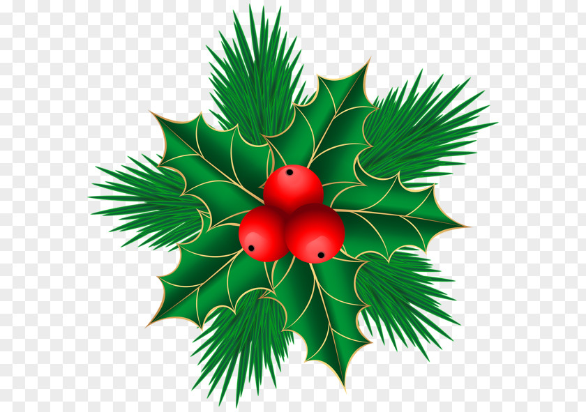Mistletoe Christmas Decoration Clip Art PNG
