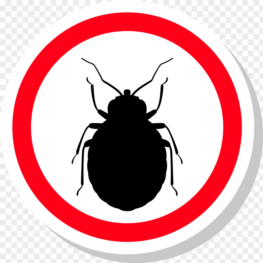 Mosquito Insect Bed Bug Pest Animal PNG