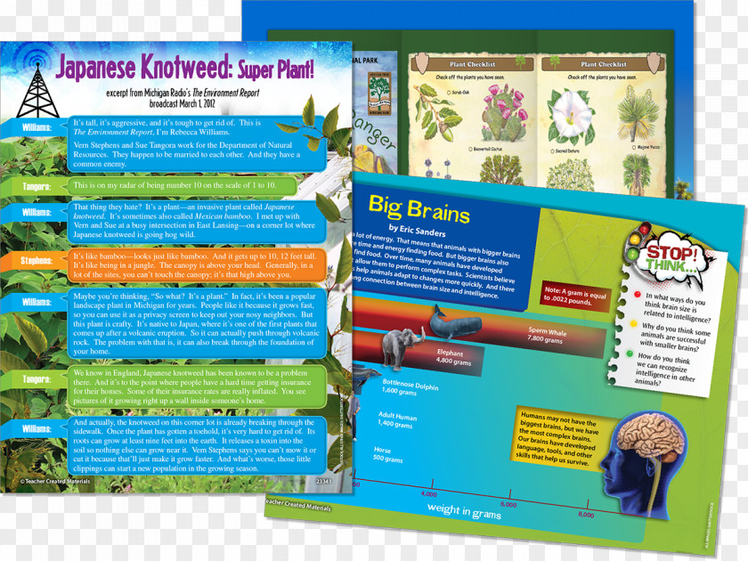 Plant Material Display Board Product Brochure PNG