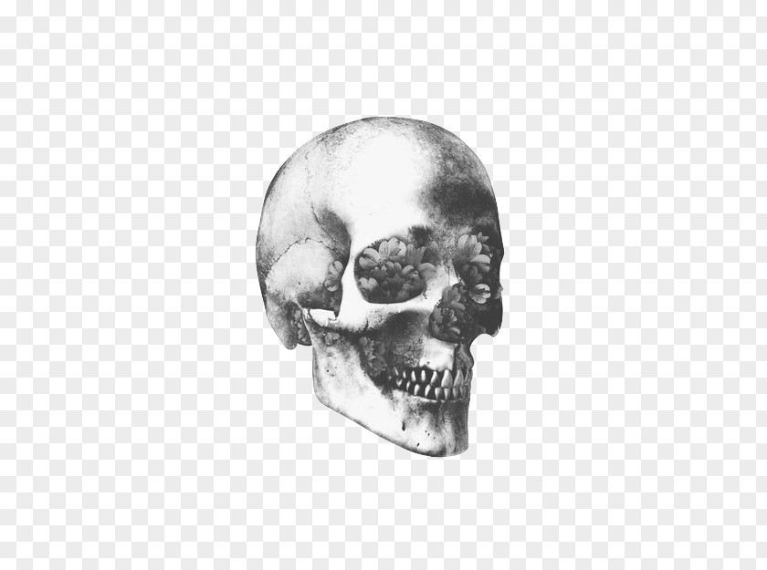 Skull Art Human Skeleton Symbolism PNG