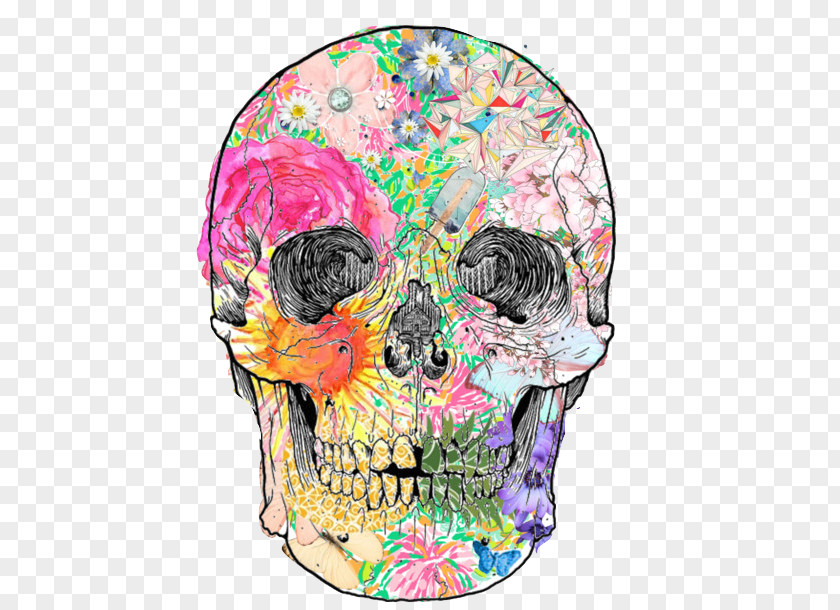 Skull Human Symbolism Drawing Art PNG
