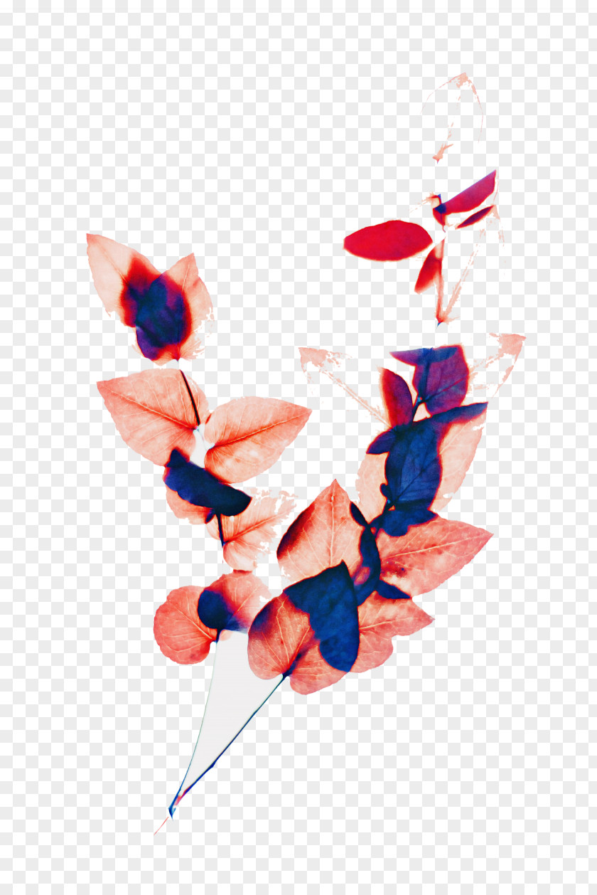 Butterfly Plant Paper PNG