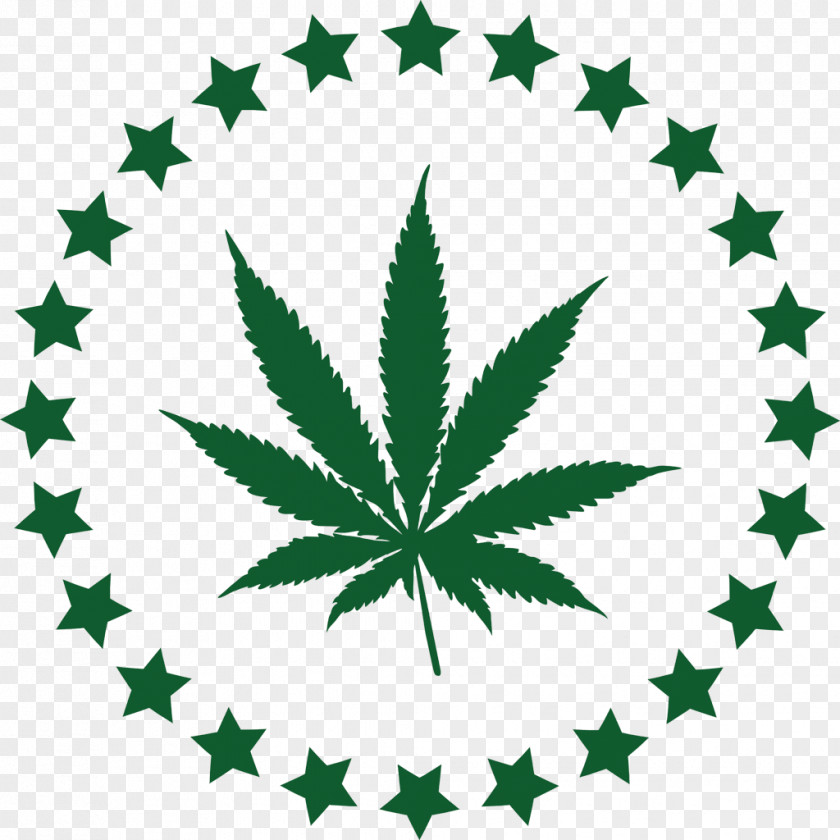 Cannabis PotCoin Drug Policy Preventive Healthcare PNG