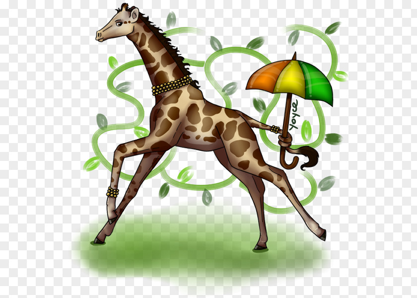 Giraffe Horse Fauna Mammal Wildlife PNG