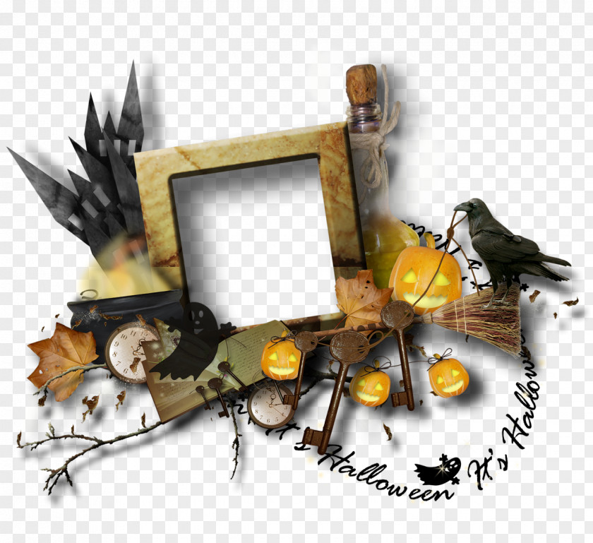 Halloween Image GIF Photography PNG