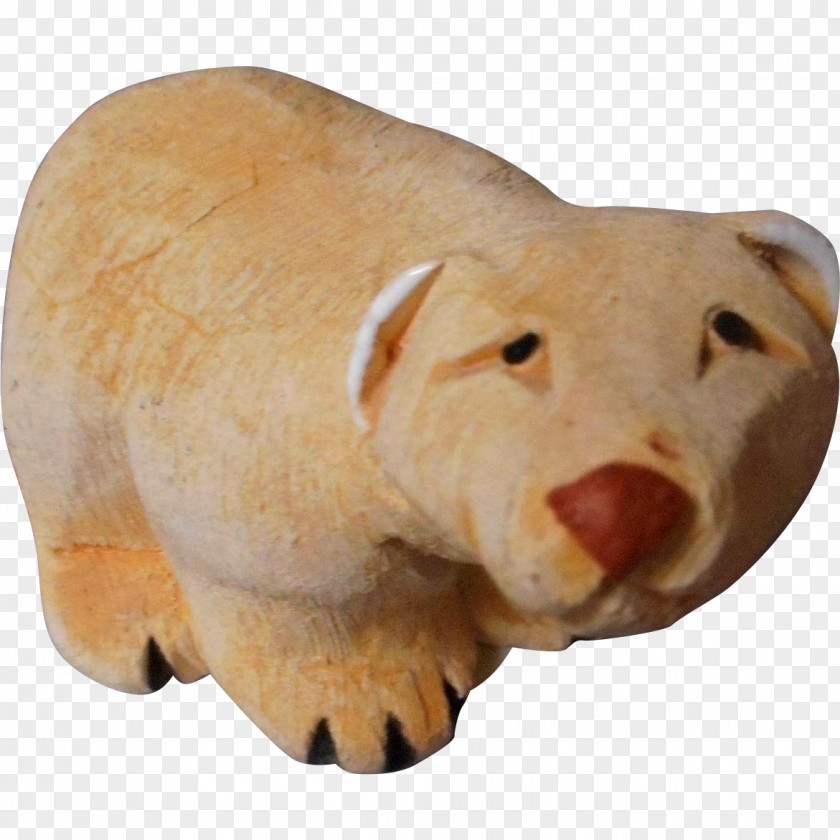 Polar Bear Pig Snout Animal Mammal PNG