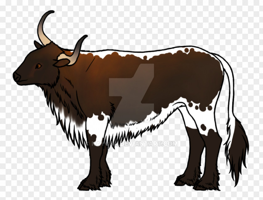 Random Fluffy Cows Dairy Cattle Texas Longhorn Zebu Domestic Yak Ox PNG