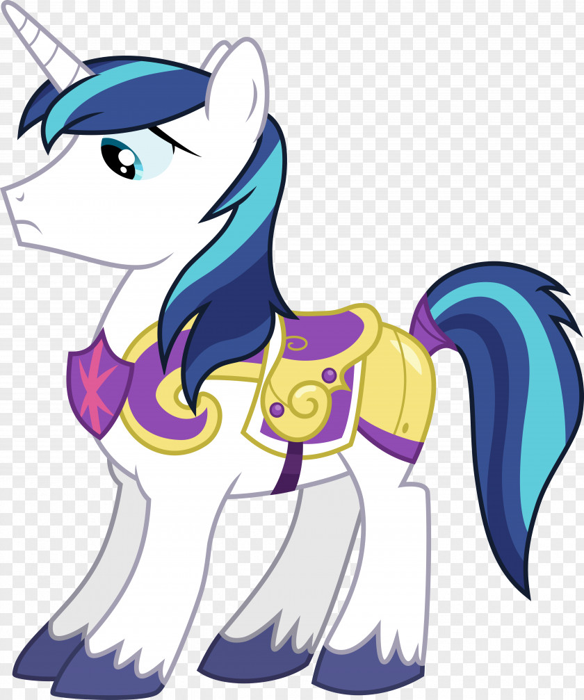Shining Star At Night Armor DeviantArt Princess Cadance Pony Twilight Sparkle PNG