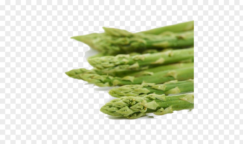 Shoot Vegetable Organic Food Bamboo PNG