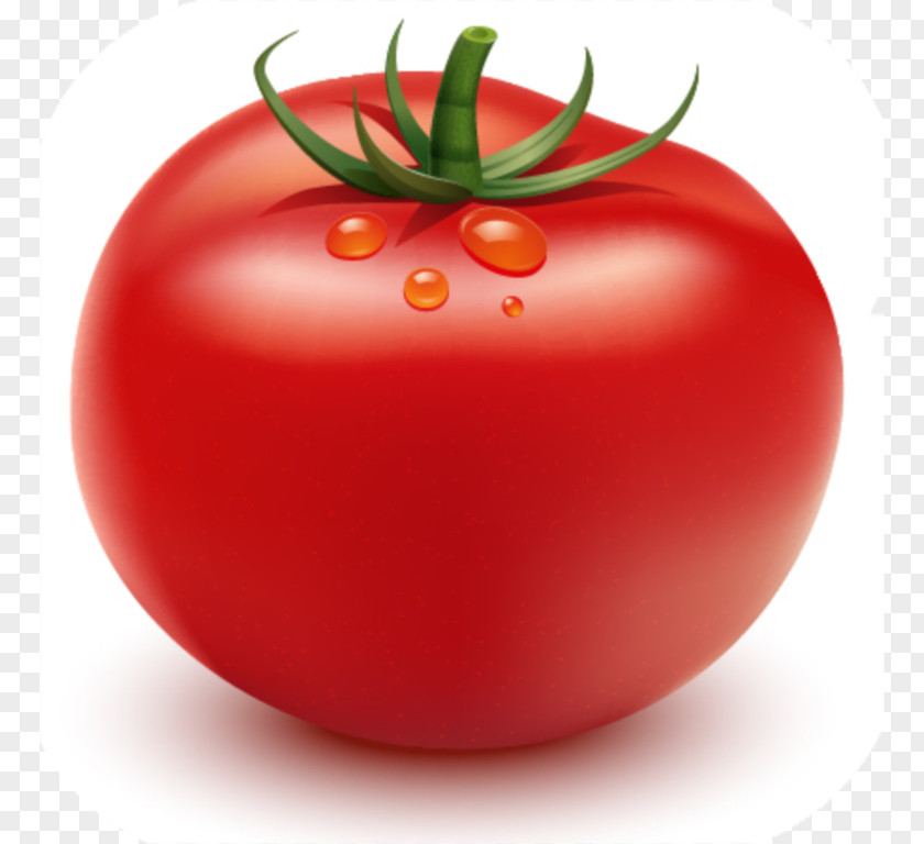 Tomato DRAWING Adobe Illustrator CS3 Classroom In A Book PNG