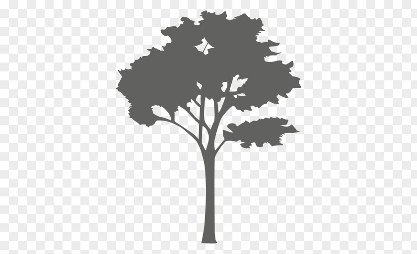 Tree Vector Silhouette PNG