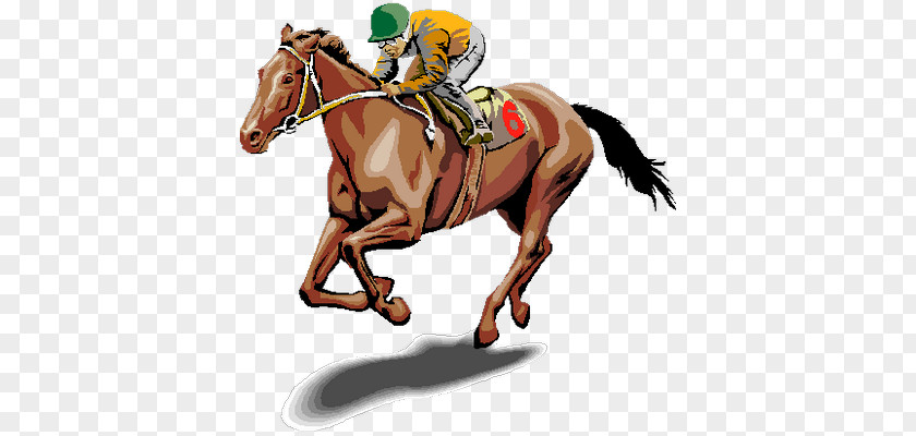 Horse Racing Belmont Stakes Gulfstream Park PNG