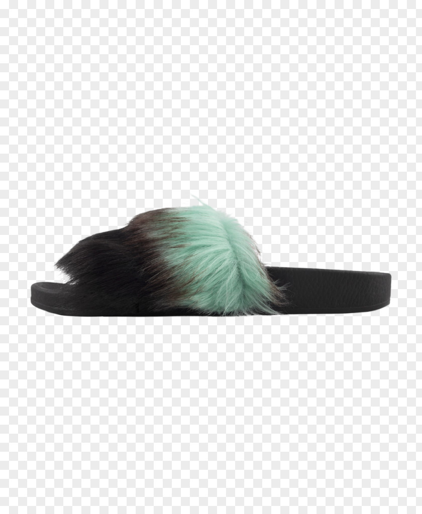 Mint Color Fur Turquoise PNG