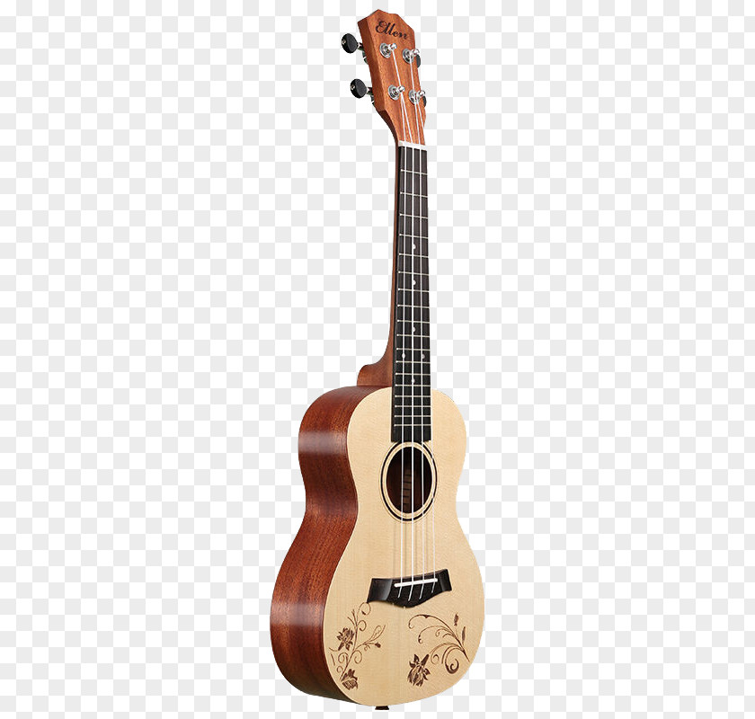 Musical Instruments Ukulele Fender Stratocaster Guitar Banjo Uke Fret PNG