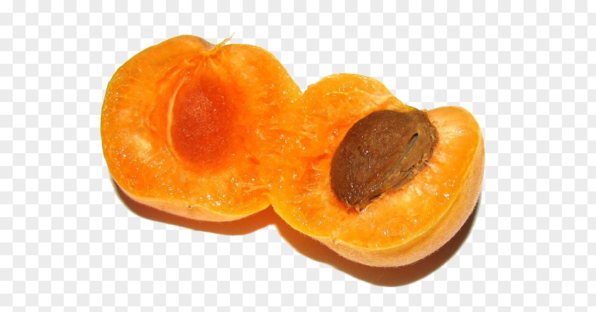 Ripe Apricot Juice Kernel Fruit Amygdalin PNG
