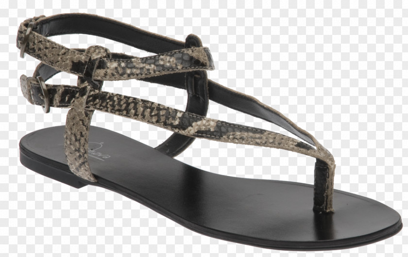 Sandal Shoe Mule Slide Fashion PNG