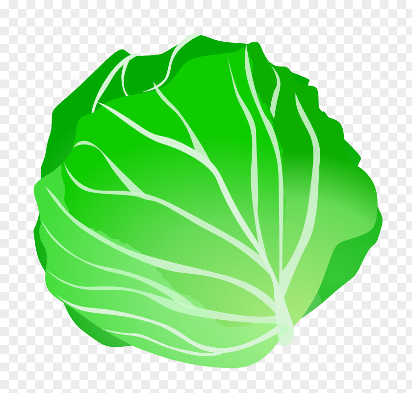 Vegetable Capitata Group Desktop Wallpaper Clip Art PNG