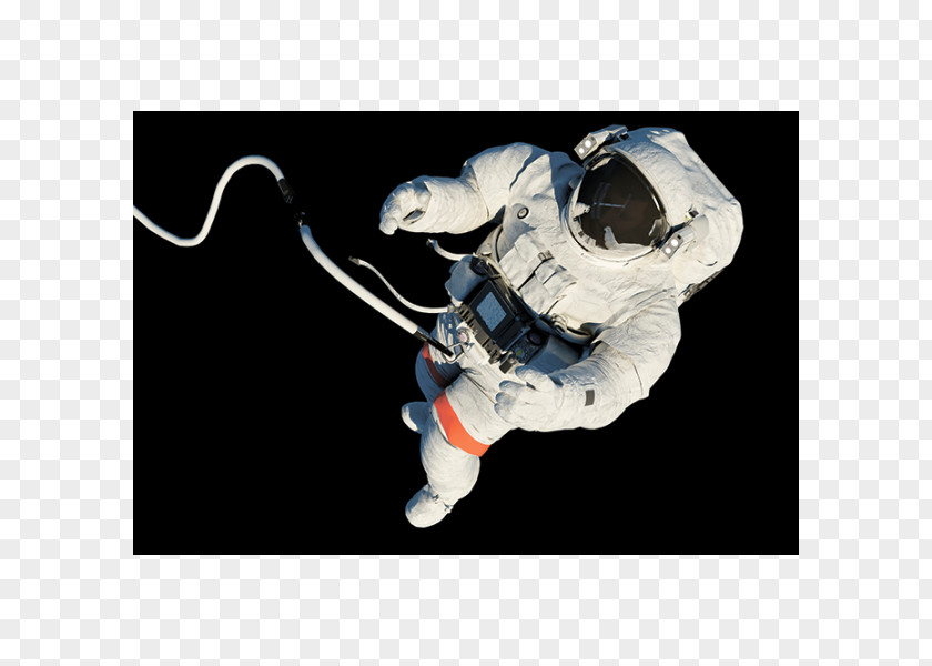 Astronaut International Space Station Human Spaceflight Suit PNG