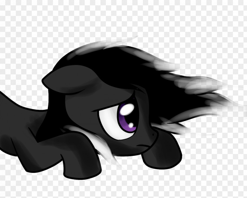 Cat Dog Pony Horse PNG