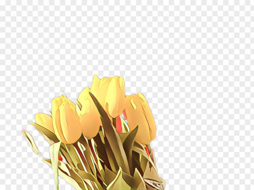 Crocus Lily Family Flower Cartoon PNG