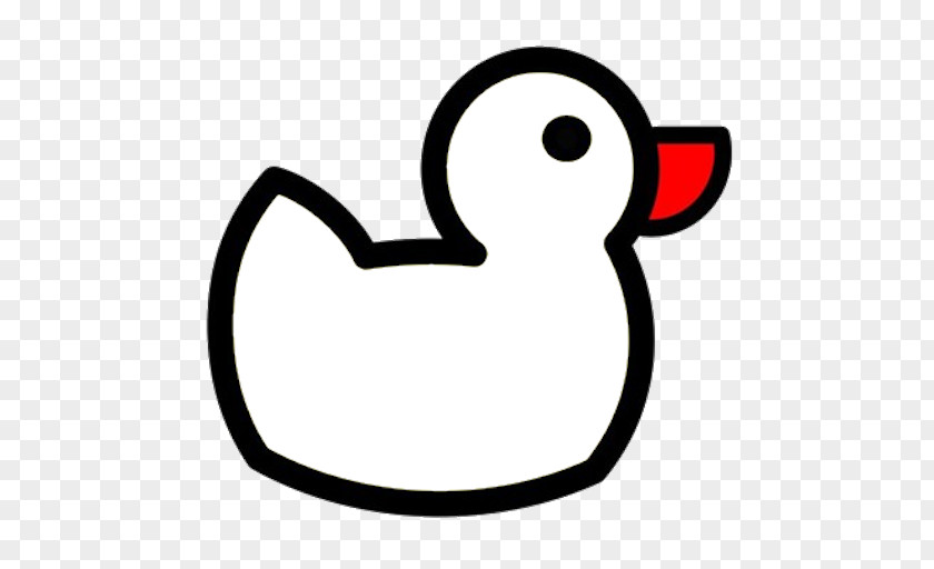 Duck Coloring Book Mallard Colouring Pages Child PNG