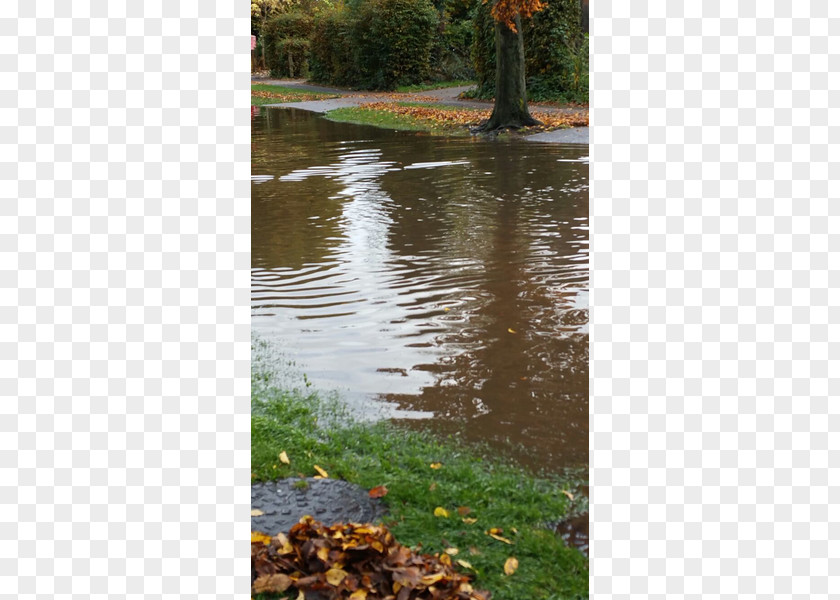 Floods Knella Road Beeches Crescent Dunsley Place Wetland Green PNG