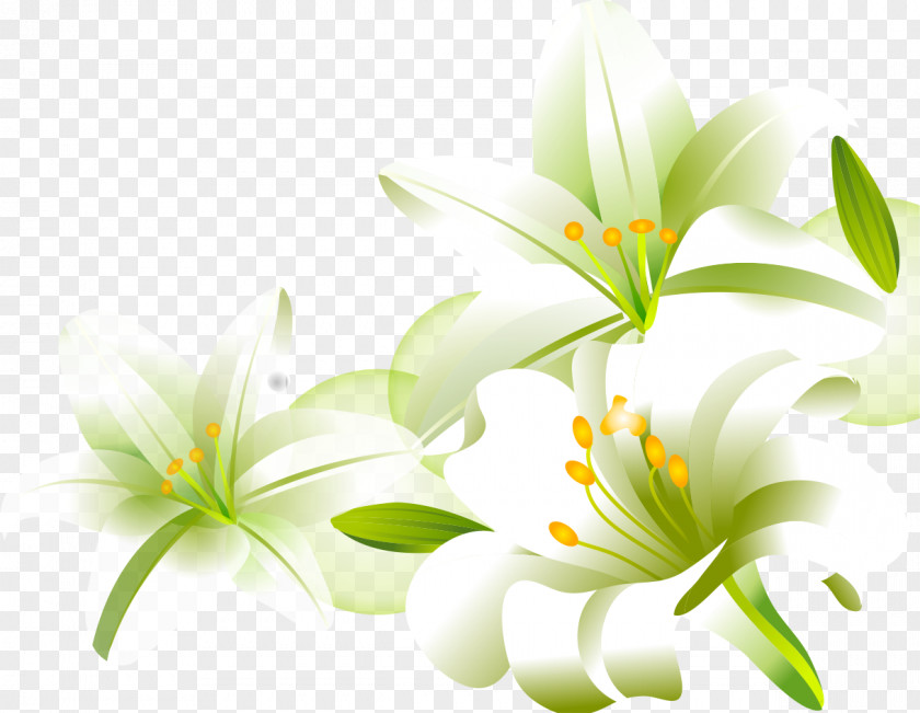 Hand-painted Lily Lilium Download Cartoon PNG