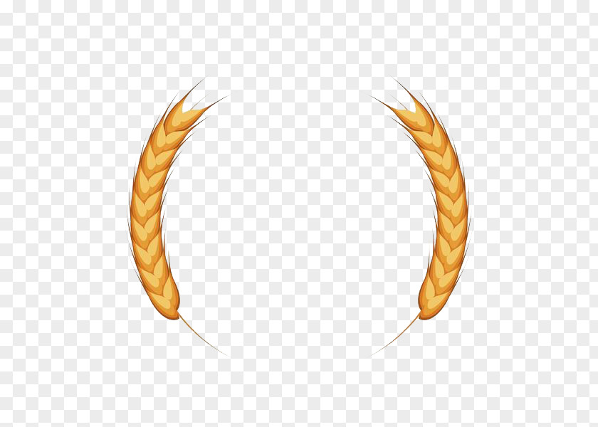2 Ears Of Wheat Ear Cereal PNG