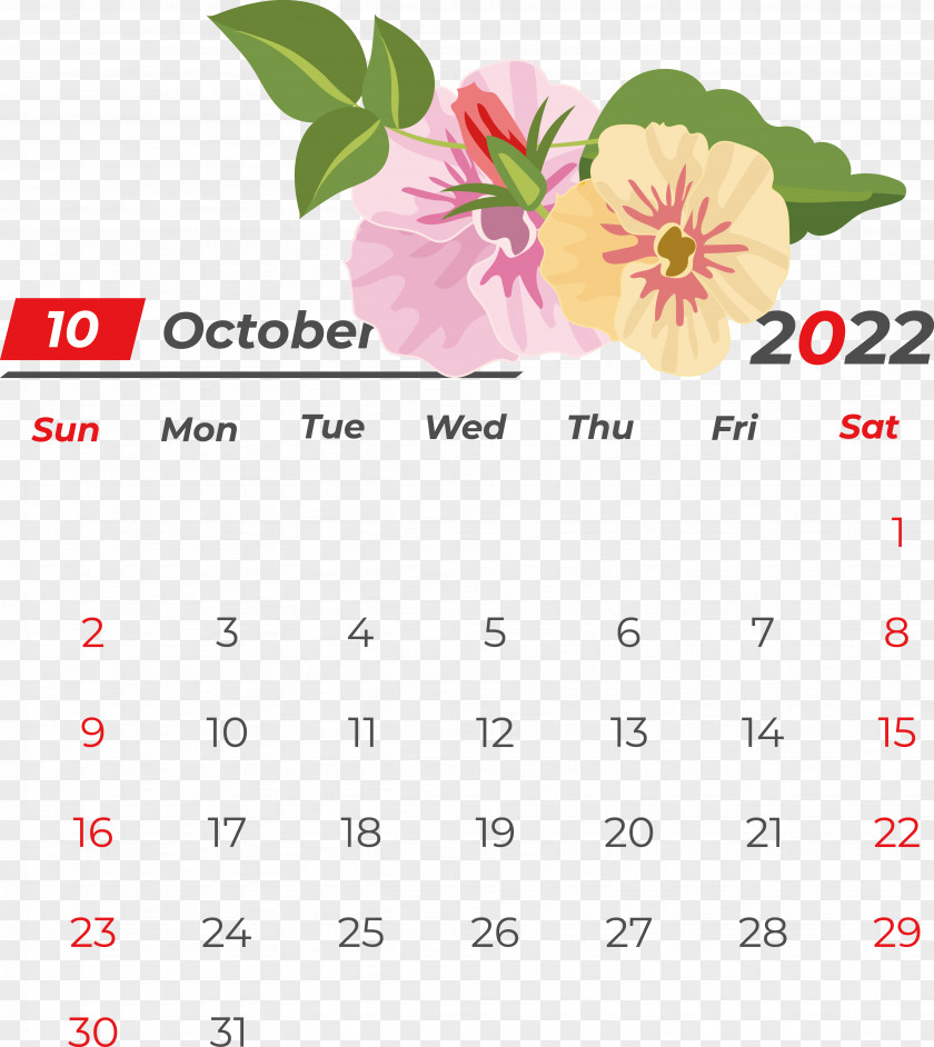 Calendar Symbol Icon Culture PNG